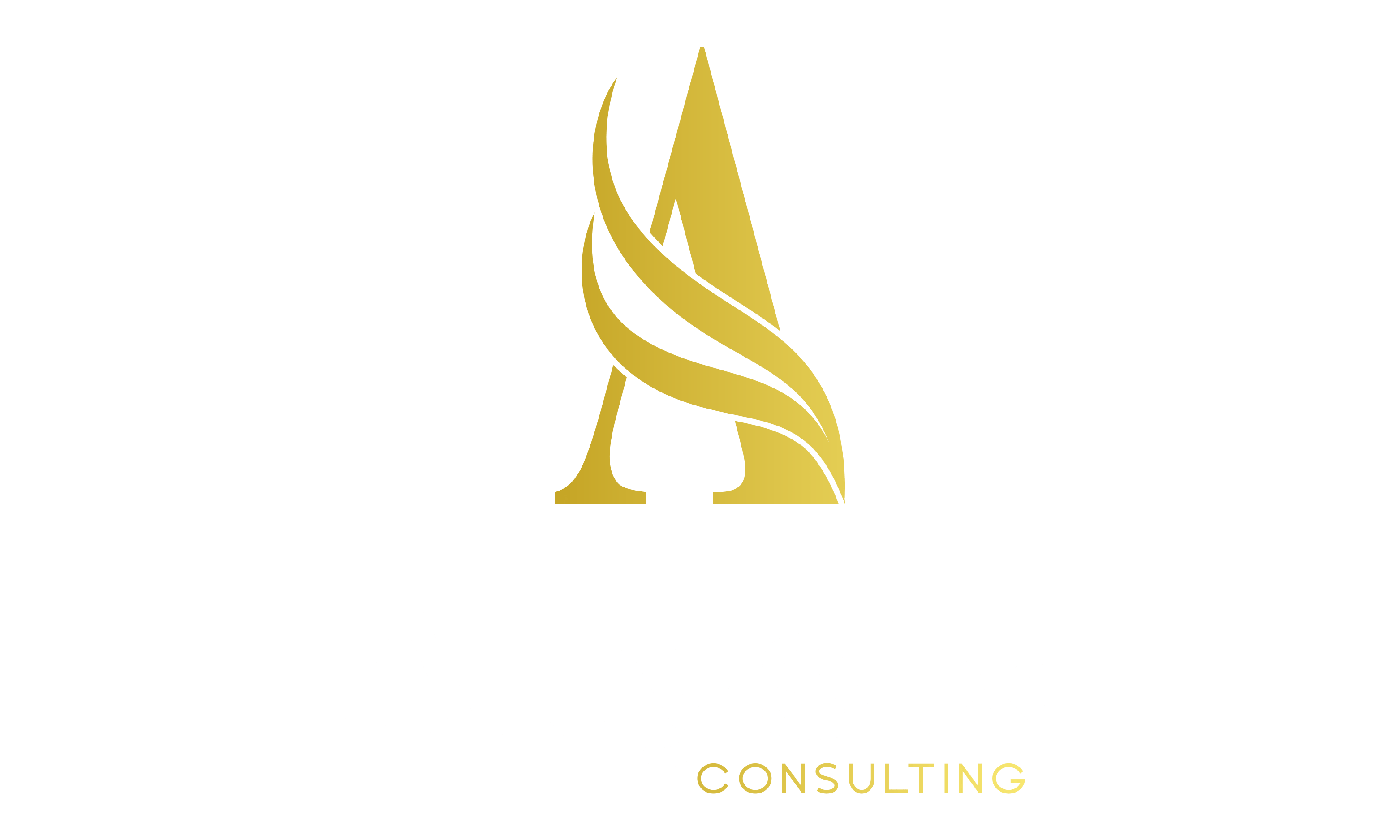 AllySix Consulting